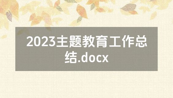 2023主题教育工作总结.docx