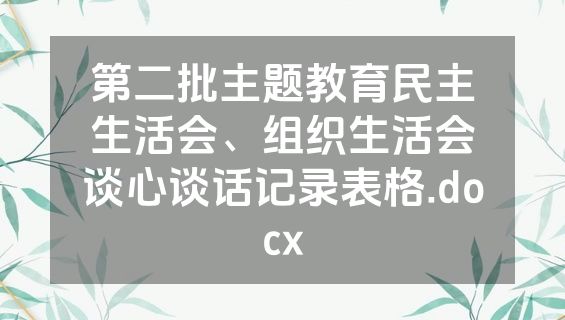第二批主题教育民主生活会、组织生活会谈心谈话记录表格.docx