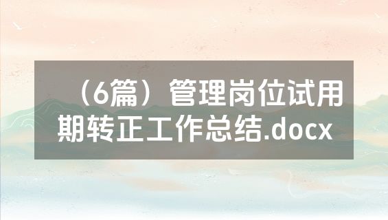 （6篇）管理岗位试用期转正工作总结.docx