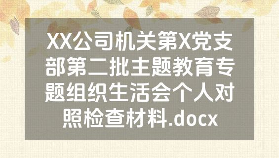 XX公司机关第X党支部第二批主题教育专题组织生活会个人对照检查材料.docx