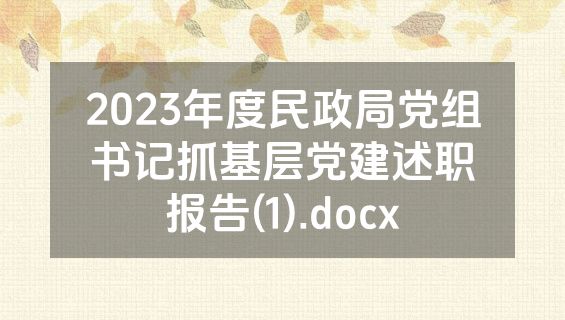 2023年度民政局党组书记抓基层党建述职报告(1).docx
