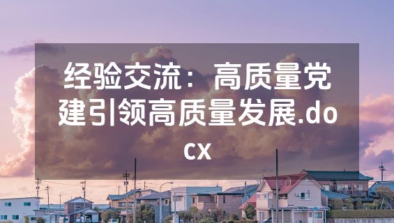 经验交流：高质量党建引领高质量发展.docx
