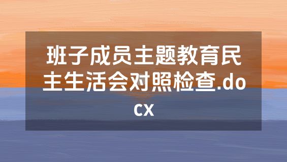 班子成员主题教育民主生活会对照检查.docx