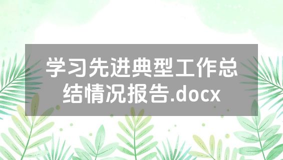 学习先进典型工作总结情况报告.docx