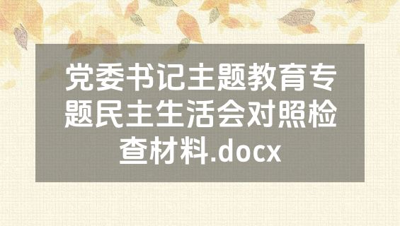 党委书记主题教育专题民主生活会对照检查材料.docx