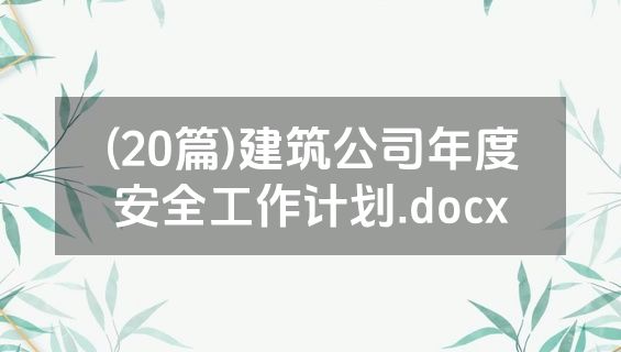 (20篇)建筑公司年度安全工作计划.docx