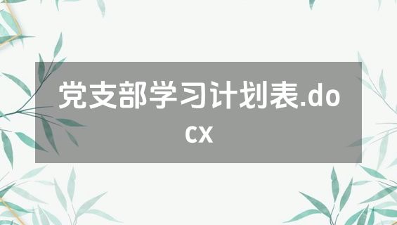 党支部学习计划表.docx