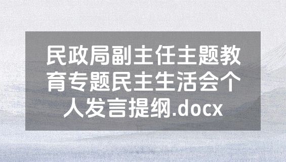 民政局副主任主题教育专题民主生活会个人发言提纲.docx