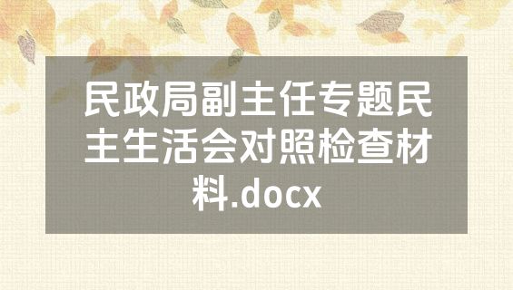 民政局副主任专题民主生活会对照检查材料.docx