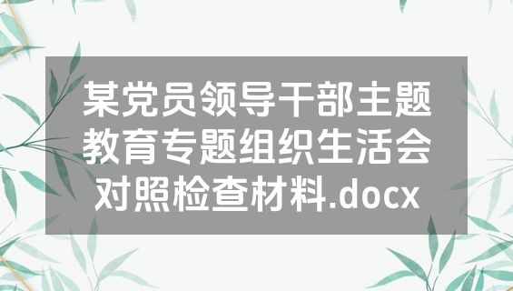 某党员领导干部主题教育专题组织生活会对照检查材料.docx