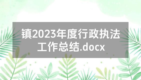镇2023年度行政执法工作总结.docx