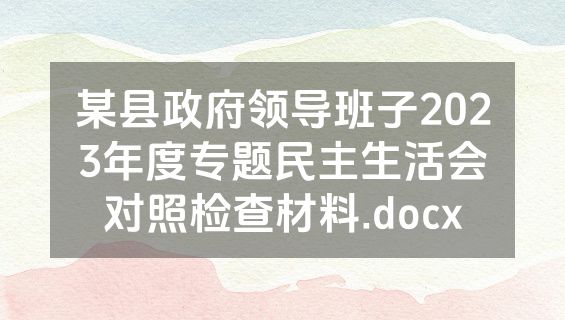 某县政府领导班子2023年度专题民主生活会对照检查材料.docx