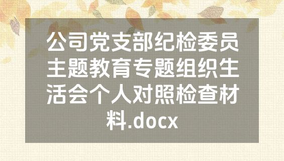 公司党支部纪检委员主题教育专题组织生活会个人对照检查材料.docx