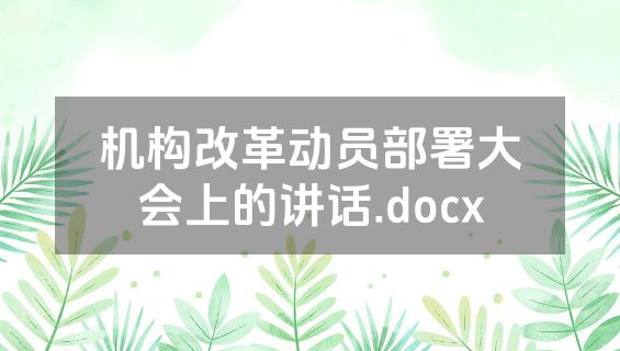机构改革动员部署大会上的讲话.docx