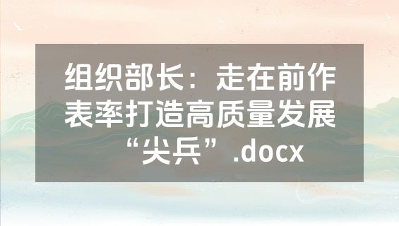 组织部长：走在前作表率打造高质量发展“尖兵”.docx