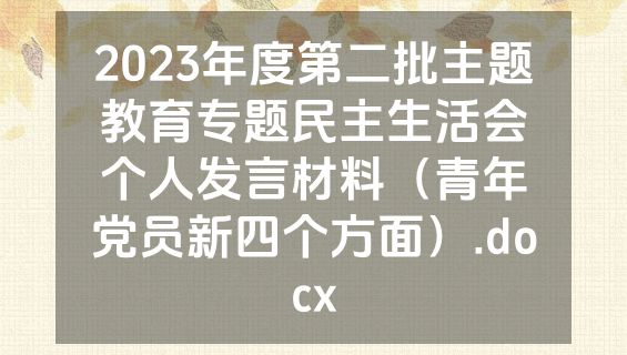 2023年度第二批主题教育专题民主生活会个人发言材料（青年党员新四个方面）.docx