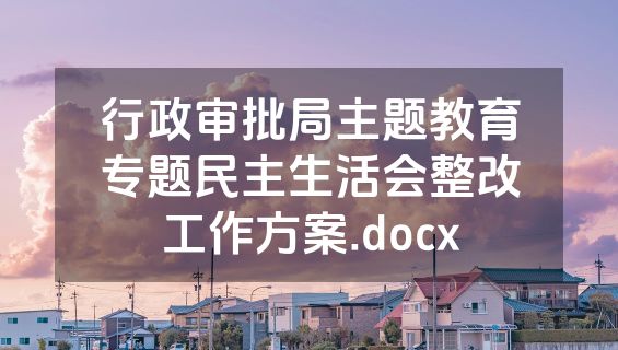 行政审批局主题教育专题民主生活会整改工作方案.docx