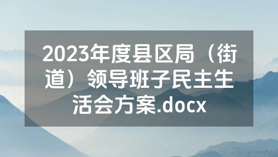 2023年度县区局（街道）领导班子民主生活会方案.docx