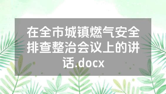 在全市城镇燃气安全排查整治会议上的讲话.docx