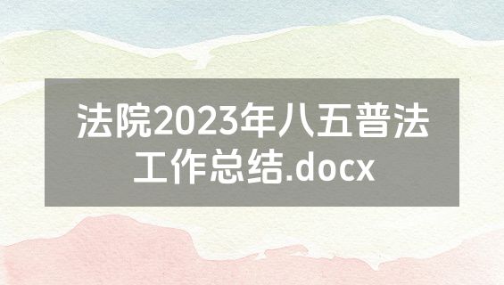 法院2023年八五普法工作总结.docx