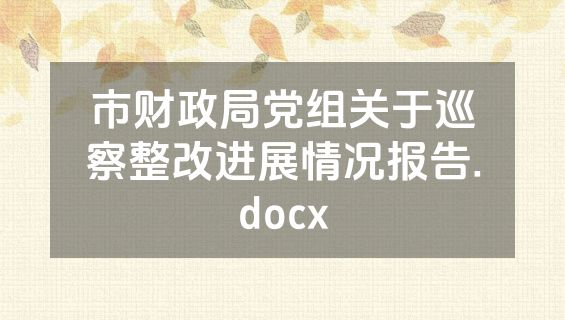 市财政局党组关于巡察整改进展情况报告.docx