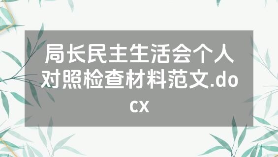 局长民主生活会个人对照检查材料范文.docx