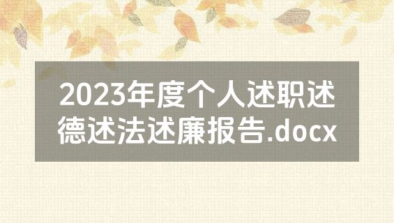 2023年度个人述职述德述法述廉报告.docx