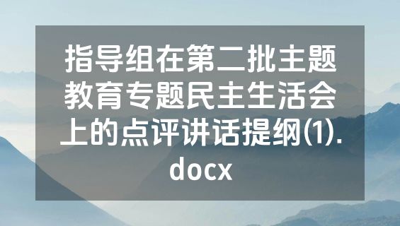 指导组在第二批主题教育专题民主生活会上的点评讲话提纲(1).docx