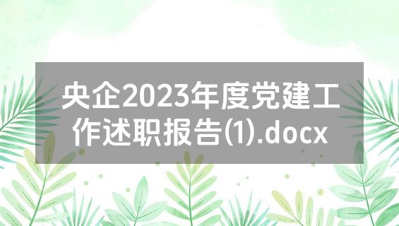 央企2023年度党建工作述职报告(1).docx