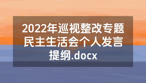 2022年巡视整改专题民主生活会个人发言提纲.docx