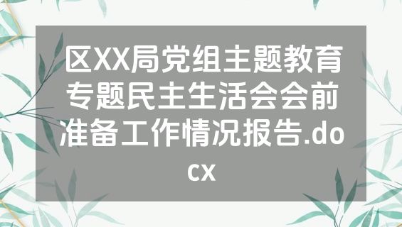 区XX局党组主题教育专题民主生活会会前准备工作情况报告.docx