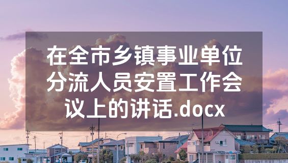 在全市乡镇事业单位分流人员安置工作会议上的讲话.docx
