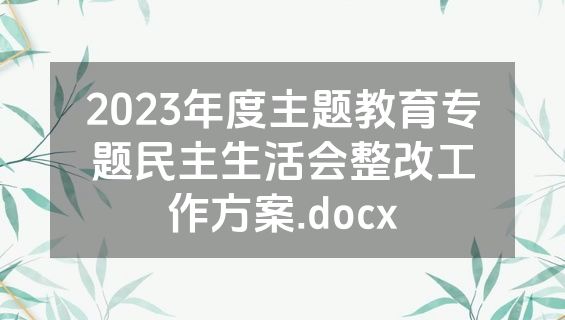 2023年度主题教育专题民主生活会整改工作方案.docx