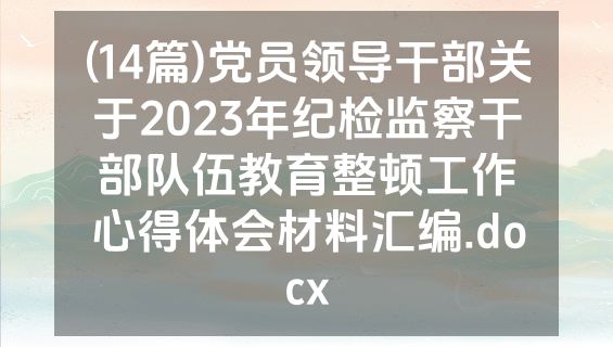 (14篇)党员领导干部关于2023年纪检监察干部队伍教育整顿工作心得体会材料汇编.docx