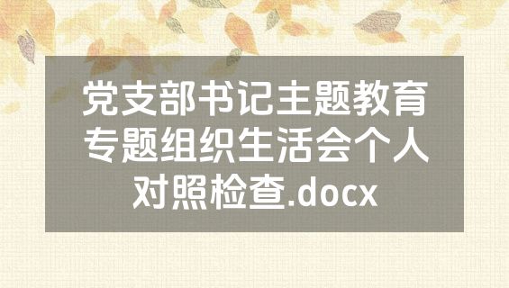 党支部书记主题教育专题组织生活会个人对照检查.docx