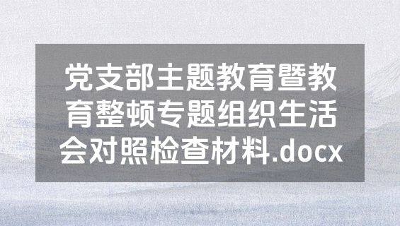党支部主题教育暨教育整顿专题组织生活会对照检查材料.docx