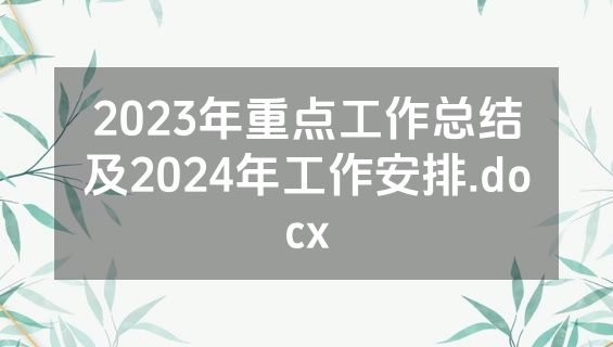 2023年重点工作总结及2024年工作安排.docx