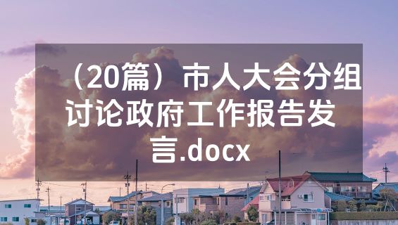 （20篇）市人大会分组讨论政府工作报告发言.docx