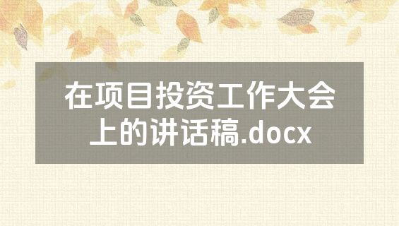 在项目投资工作大会上的讲话稿.docx