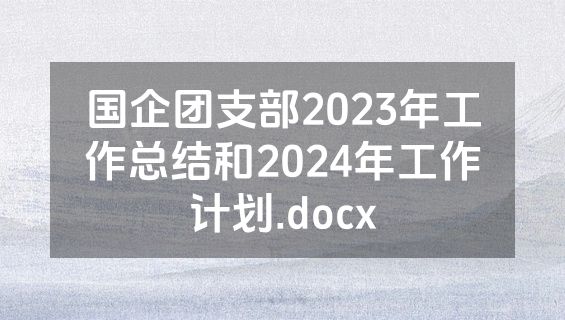 国企团支部2023年工作总结和2024年工作计划.docx
