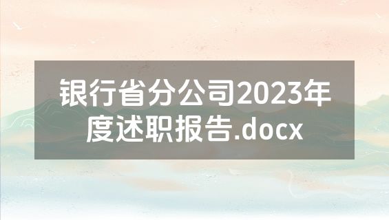 银行省分公司2023年度述职报告.docx