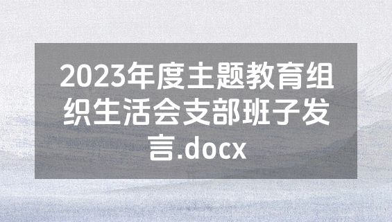 2023年度主题教育组织生活会支部班子发言.docx