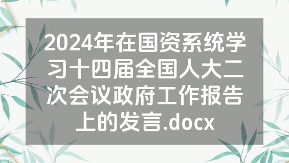 2024年在国资系统学习十四届全国人大二次会议政府工作报告上的发言.docx