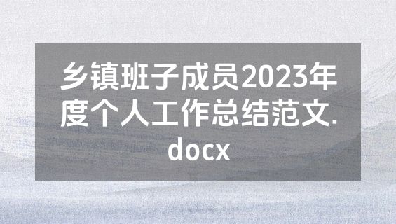乡镇班子成员2023年度个人工作总结范文.docx