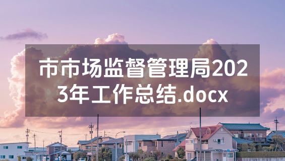 市市场监督管理局2023年工作总结.docx