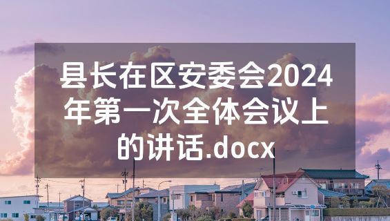 县长在区安委会2024年第一次全体会议上的讲话.docx