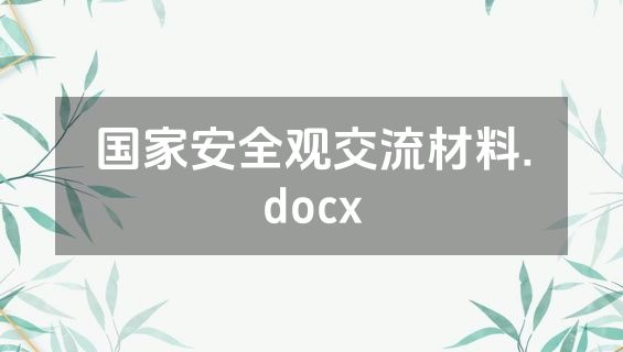 国家安全观交流材料.docx