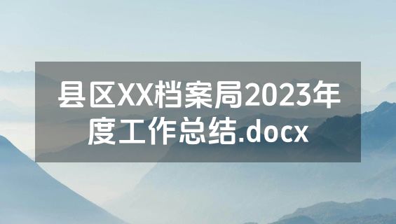 县区XX档案局2023年度工作总结.docx