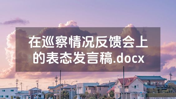 在巡察情况反馈会上的表态发言稿.docx