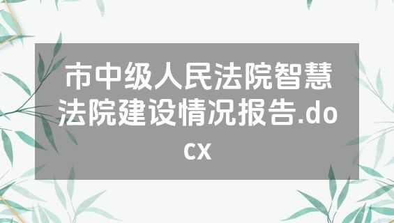 市中级人民法院智慧法院建设情况报告.docx
